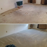 Our Work