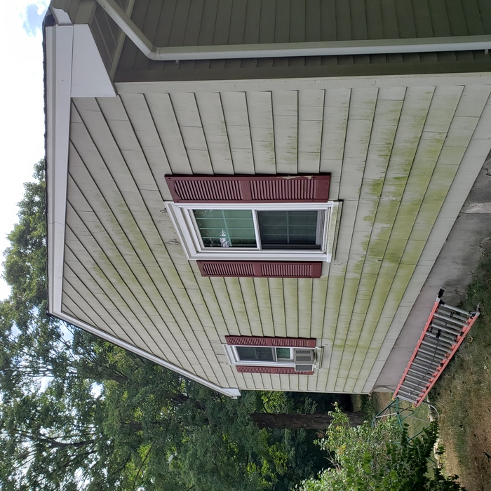 left side