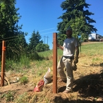 Setting Post