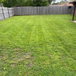 Fresh Mow