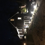 Stony Brook LS Lights