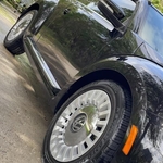 Message me for a free quote!! (352) 212-8958