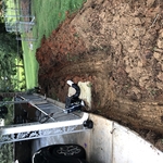 French Drain