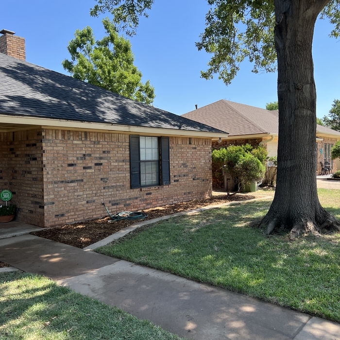 Shrubs Removal Clean