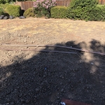 Sod and Irrigation