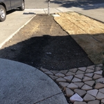 Sod and Irrigation