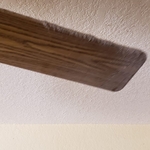 cealing fan