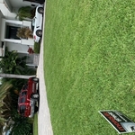 Palm Harbor Home