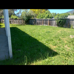 Before and After cleanout
