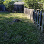 Before and After cleanout