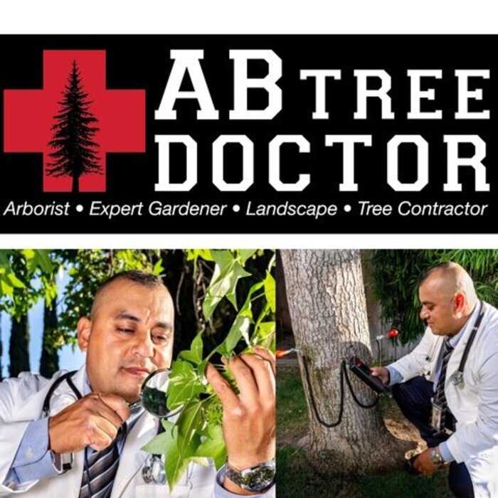 Tree diagnosis