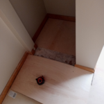 remodel project 1