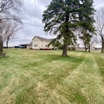 Dethatch