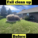 Before Fall Clean Up