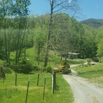 job 6
