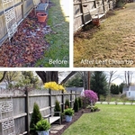Clean up and Mulch