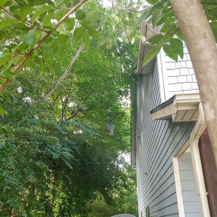 062621 Before