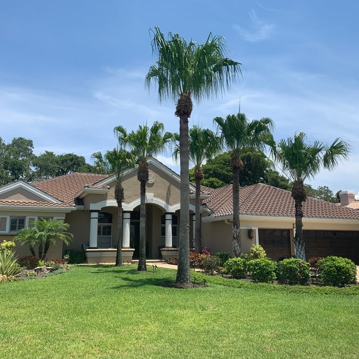 Pressure wash / roof clean / roof seal / Driveway