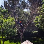 Experienced climber