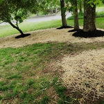 Guacamaya Lawn Care