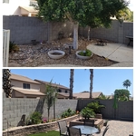 Before and After