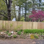 Privacy Wood Fencing