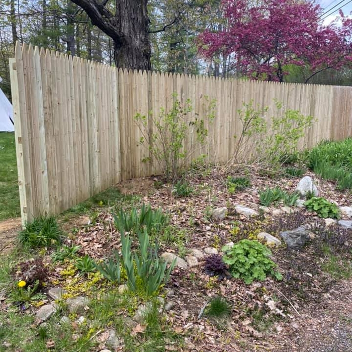 Privacy Wood Fencing