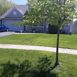 Customer Front Lawn