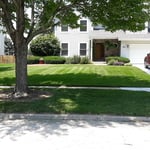 Customer Front Lawn