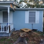 Before photo of two Oak stumps next to a house