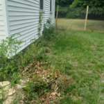Lawn Care