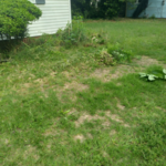 Lawn Care
