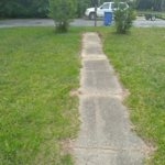 Lawn Care