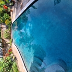 Pool Cleaning