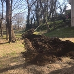 backup ended in neighbors yard