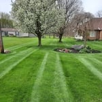 Mowing