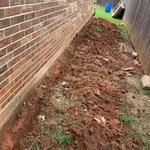 termite trench