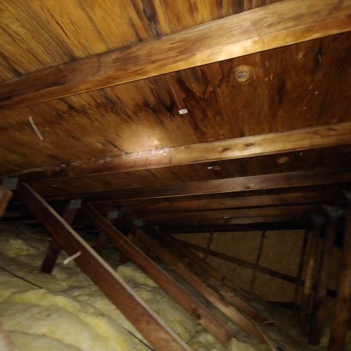 Water Damage