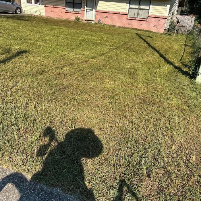 Lawn Care
