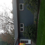 New roof