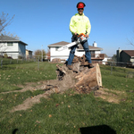 Our work