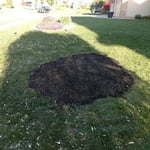Our work