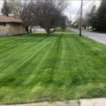 Front Yard in Campbell