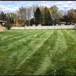 Back yard Campbell