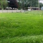 Backyard Campbell