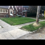 Youngstown house west side front yard