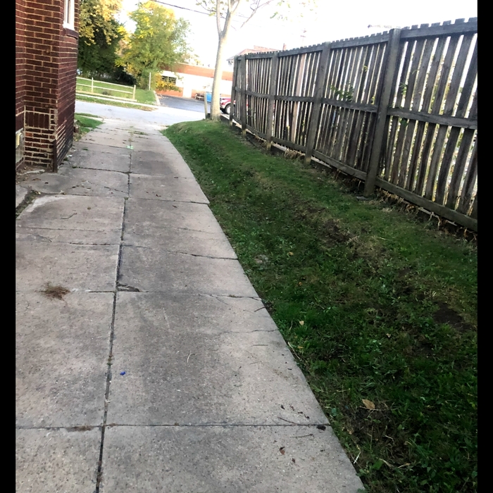 West side of Youngstown house driveway