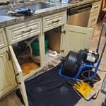 Sewer and Drain service