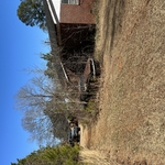 Wheeler’s Lawn Care