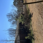 Wheeler’s Lawn Care